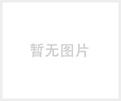 厂家批发 坚成双工位双口焊接焊锡烟雾排烟仪DX1002烟尘净化器